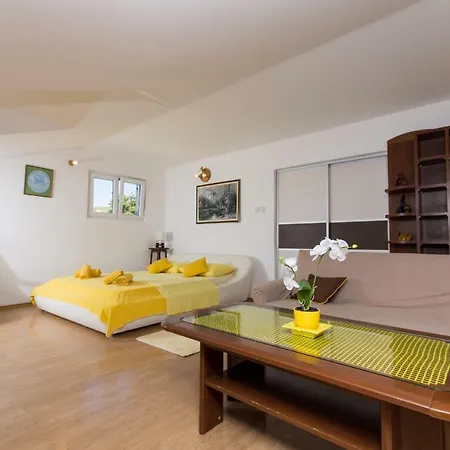 Guest house Zana Okrug Gornji