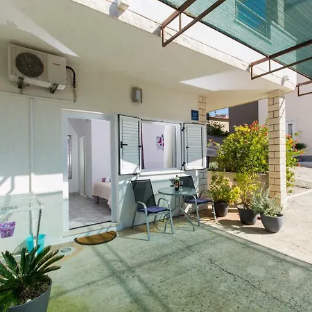Guest house Zana 3*